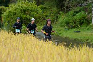 BIB: 
                            <button type="button" onclick="openModal(13491266)" class="btn btn-primary btn-sm float-right btn-popup" data-toggle="modal" data-target=".modal-high-quality">
                        <i class="fas fa-shopping-cart"></i> Add to Cart
                    </button>
                                            <button type="button" onclick="isThisMe(13491266, true)" class="btn btn-success btn-sm float-right btn-popup btn-isme hidden" data-toggle="tooltip" data-placement="bottom" title="นี่คือรูปของคุณใช่ไหม คลิกที่นี่เพื่อเอาเข้าอัลบั้ม">
                        <i class="fas fa-plus"></i> Add to album
                    </button>
                    <button type="button" onclick="isThisMe(13491266, false)" class="btn btn-warning btn-sm float-right btn-popup btn-isnotme hidden">
                        <i class="fas fa-ban"></i> Remove from album
                    </button>