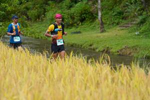 BIB: 
                            <button type="button" onclick="openModal(13491177)" class="btn btn-primary btn-sm float-right btn-popup" data-toggle="modal" data-target=".modal-high-quality">
                        <i class="fas fa-shopping-cart"></i> Add to Cart
                    </button>
                                            <button type="button" onclick="isThisMe(13491177, true)" class="btn btn-success btn-sm float-right btn-popup btn-isme hidden" data-toggle="tooltip" data-placement="bottom" title="นี่คือรูปของคุณใช่ไหม คลิกที่นี่เพื่อเอาเข้าอัลบั้ม">
                        <i class="fas fa-plus"></i> Add to album
                    </button>
                    <button type="button" onclick="isThisMe(13491177, false)" class="btn btn-warning btn-sm float-right btn-popup btn-isnotme hidden">
                        <i class="fas fa-ban"></i> Remove from album
                    </button>