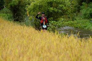 BIB: 
                            <button type="button" onclick="openModal(13493115)" class="btn btn-primary btn-sm float-right btn-popup" data-toggle="modal" data-target=".modal-high-quality">
                        <i class="fas fa-shopping-cart"></i> Add to Cart
                    </button>
                                            <button type="button" onclick="isThisMe(13493115, true)" class="btn btn-success btn-sm float-right btn-popup btn-isme hidden" data-toggle="tooltip" data-placement="bottom" title="นี่คือรูปของคุณใช่ไหม คลิกที่นี่เพื่อเอาเข้าอัลบั้ม">
                        <i class="fas fa-plus"></i> Add to album
                    </button>
                    <button type="button" onclick="isThisMe(13493115, false)" class="btn btn-warning btn-sm float-right btn-popup btn-isnotme hidden">
                        <i class="fas fa-ban"></i> Remove from album
                    </button>