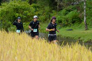 BIB: 
                            <button type="button" onclick="openModal(13491274)" class="btn btn-primary btn-sm float-right btn-popup" data-toggle="modal" data-target=".modal-high-quality">
                        <i class="fas fa-shopping-cart"></i> Add to Cart
                    </button>
                                            <button type="button" onclick="isThisMe(13491274, true)" class="btn btn-success btn-sm float-right btn-popup btn-isme hidden" data-toggle="tooltip" data-placement="bottom" title="นี่คือรูปของคุณใช่ไหม คลิกที่นี่เพื่อเอาเข้าอัลบั้ม">
                        <i class="fas fa-plus"></i> Add to album
                    </button>
                    <button type="button" onclick="isThisMe(13491274, false)" class="btn btn-warning btn-sm float-right btn-popup btn-isnotme hidden">
                        <i class="fas fa-ban"></i> Remove from album
                    </button>