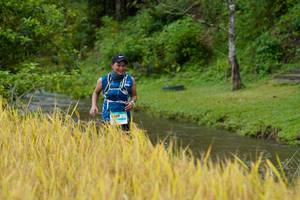 BIB: 
                            <button type="button" onclick="openModal(13491509)" class="btn btn-primary btn-sm float-right btn-popup" data-toggle="modal" data-target=".modal-high-quality">
                        <i class="fas fa-shopping-cart"></i> Add to Cart
                    </button>
                                            <button type="button" onclick="isThisMe(13491509, true)" class="btn btn-success btn-sm float-right btn-popup btn-isme hidden" data-toggle="tooltip" data-placement="bottom" title="นี่คือรูปของคุณใช่ไหม คลิกที่นี่เพื่อเอาเข้าอัลบั้ม">
                        <i class="fas fa-plus"></i> Add to album
                    </button>
                    <button type="button" onclick="isThisMe(13491509, false)" class="btn btn-warning btn-sm float-right btn-popup btn-isnotme hidden">
                        <i class="fas fa-ban"></i> Remove from album
                    </button>