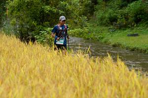 BIB: 
                            <button type="button" onclick="openModal(13491851)" class="btn btn-primary btn-sm float-right btn-popup" data-toggle="modal" data-target=".modal-high-quality">
                        <i class="fas fa-shopping-cart"></i> Add to Cart
                    </button>
                                            <button type="button" onclick="isThisMe(13491851, true)" class="btn btn-success btn-sm float-right btn-popup btn-isme hidden" data-toggle="tooltip" data-placement="bottom" title="นี่คือรูปของคุณใช่ไหม คลิกที่นี่เพื่อเอาเข้าอัลบั้ม">
                        <i class="fas fa-plus"></i> Add to album
                    </button>
                    <button type="button" onclick="isThisMe(13491851, false)" class="btn btn-warning btn-sm float-right btn-popup btn-isnotme hidden">
                        <i class="fas fa-ban"></i> Remove from album
                    </button>