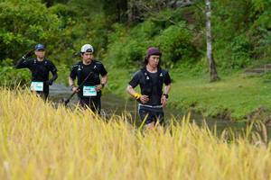 BIB: 466
                            <button type="button" onclick="openModal(13491277)" class="btn btn-primary btn-sm float-right btn-popup" data-toggle="modal" data-target=".modal-high-quality">
                        <i class="fas fa-shopping-cart"></i> Add to Cart
                    </button>
                                            <button type="button" onclick="isThisMe(13491277, true)" class="btn btn-success btn-sm float-right btn-popup btn-isme hidden" data-toggle="tooltip" data-placement="bottom" title="นี่คือรูปของคุณใช่ไหม คลิกที่นี่เพื่อเอาเข้าอัลบั้ม">
                        <i class="fas fa-plus"></i> Add to album
                    </button>
                    <button type="button" onclick="isThisMe(13491277, false)" class="btn btn-warning btn-sm float-right btn-popup btn-isnotme hidden">
                        <i class="fas fa-ban"></i> Remove from album
                    </button>