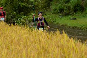 BIB: 
                            <button type="button" onclick="openModal(13493335)" class="btn btn-primary btn-sm float-right btn-popup" data-toggle="modal" data-target=".modal-high-quality">
                        <i class="fas fa-shopping-cart"></i> Add to Cart
                    </button>
                                            <button type="button" onclick="isThisMe(13493335, true)" class="btn btn-success btn-sm float-right btn-popup btn-isme hidden" data-toggle="tooltip" data-placement="bottom" title="นี่คือรูปของคุณใช่ไหม คลิกที่นี่เพื่อเอาเข้าอัลบั้ม">
                        <i class="fas fa-plus"></i> Add to album
                    </button>
                    <button type="button" onclick="isThisMe(13493335, false)" class="btn btn-warning btn-sm float-right btn-popup btn-isnotme hidden">
                        <i class="fas fa-ban"></i> Remove from album
                    </button>