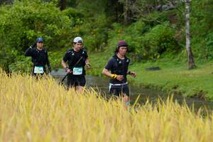 BIB: 146
                            <button type="button" onclick="openModal(13491272)" class="btn btn-primary btn-sm float-right btn-popup" data-toggle="modal" data-target=".modal-high-quality">
                        <i class="fas fa-shopping-cart"></i> Add to Cart
                    </button>
                                            <button type="button" onclick="isThisMe(13491272, true)" class="btn btn-success btn-sm float-right btn-popup btn-isme hidden" data-toggle="tooltip" data-placement="bottom" title="นี่คือรูปของคุณใช่ไหม คลิกที่นี่เพื่อเอาเข้าอัลบั้ม">
                        <i class="fas fa-plus"></i> Add to album
                    </button>
                    <button type="button" onclick="isThisMe(13491272, false)" class="btn btn-warning btn-sm float-right btn-popup btn-isnotme hidden">
                        <i class="fas fa-ban"></i> Remove from album
                    </button>