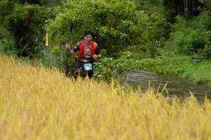 BIB: 
                            <button type="button" onclick="openModal(13493221)" class="btn btn-primary btn-sm float-right btn-popup" data-toggle="modal" data-target=".modal-high-quality">
                        <i class="fas fa-shopping-cart"></i> Add to Cart
                    </button>
                                            <button type="button" onclick="isThisMe(13493221, true)" class="btn btn-success btn-sm float-right btn-popup btn-isme hidden" data-toggle="tooltip" data-placement="bottom" title="นี่คือรูปของคุณใช่ไหม คลิกที่นี่เพื่อเอาเข้าอัลบั้ม">
                        <i class="fas fa-plus"></i> Add to album
                    </button>
                    <button type="button" onclick="isThisMe(13493221, false)" class="btn btn-warning btn-sm float-right btn-popup btn-isnotme hidden">
                        <i class="fas fa-ban"></i> Remove from album
                    </button>