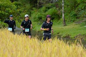 BIB: 1466
                            <button type="button" onclick="openModal(13491278)" class="btn btn-primary btn-sm float-right btn-popup" data-toggle="modal" data-target=".modal-high-quality">
                        <i class="fas fa-shopping-cart"></i> Add to Cart
                    </button>
                                            <button type="button" onclick="isThisMe(13491278, true)" class="btn btn-success btn-sm float-right btn-popup btn-isme hidden" data-toggle="tooltip" data-placement="bottom" title="นี่คือรูปของคุณใช่ไหม คลิกที่นี่เพื่อเอาเข้าอัลบั้ม">
                        <i class="fas fa-plus"></i> Add to album
                    </button>
                    <button type="button" onclick="isThisMe(13491278, false)" class="btn btn-warning btn-sm float-right btn-popup btn-isnotme hidden">
                        <i class="fas fa-ban"></i> Remove from album
                    </button>