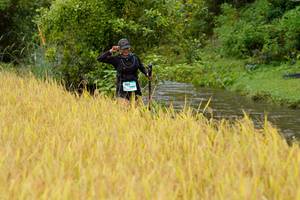 BIB: 
                            <button type="button" onclick="openModal(13493537)" class="btn btn-primary btn-sm float-right btn-popup" data-toggle="modal" data-target=".modal-high-quality">
                        <i class="fas fa-shopping-cart"></i> Add to Cart
                    </button>
                                            <button type="button" onclick="isThisMe(13493537, true)" class="btn btn-success btn-sm float-right btn-popup btn-isme hidden" data-toggle="tooltip" data-placement="bottom" title="นี่คือรูปของคุณใช่ไหม คลิกที่นี่เพื่อเอาเข้าอัลบั้ม">
                        <i class="fas fa-plus"></i> Add to album
                    </button>
                    <button type="button" onclick="isThisMe(13493537, false)" class="btn btn-warning btn-sm float-right btn-popup btn-isnotme hidden">
                        <i class="fas fa-ban"></i> Remove from album
                    </button>