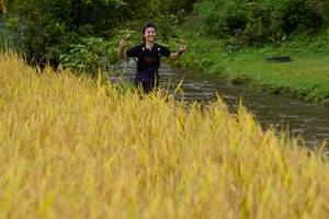 BIB: 
                            <button type="button" onclick="openModal(13493478)" class="btn btn-primary btn-sm float-right btn-popup" data-toggle="modal" data-target=".modal-high-quality">
                        <i class="fas fa-shopping-cart"></i> Add to Cart
                    </button>
                                            <button type="button" onclick="isThisMe(13493478, true)" class="btn btn-success btn-sm float-right btn-popup btn-isme hidden" data-toggle="tooltip" data-placement="bottom" title="นี่คือรูปของคุณใช่ไหม คลิกที่นี่เพื่อเอาเข้าอัลบั้ม">
                        <i class="fas fa-plus"></i> Add to album
                    </button>
                    <button type="button" onclick="isThisMe(13493478, false)" class="btn btn-warning btn-sm float-right btn-popup btn-isnotme hidden">
                        <i class="fas fa-ban"></i> Remove from album
                    </button>