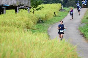 BIB: 
                            <button type="button" onclick="openModal(13474168)" class="btn btn-primary btn-sm float-right btn-popup" data-toggle="modal" data-target=".modal-high-quality">
                        <i class="fas fa-shopping-cart"></i> Add to Cart
                    </button>
                                            <button type="button" onclick="isThisMe(13474168, true)" class="btn btn-success btn-sm float-right btn-popup btn-isme hidden" data-toggle="tooltip" data-placement="bottom" title="นี่คือรูปของคุณใช่ไหม คลิกที่นี่เพื่อเอาเข้าอัลบั้ม">
                        <i class="fas fa-plus"></i> Add to album
                    </button>
                    <button type="button" onclick="isThisMe(13474168, false)" class="btn btn-warning btn-sm float-right btn-popup btn-isnotme hidden">
                        <i class="fas fa-ban"></i> Remove from album
                    </button>