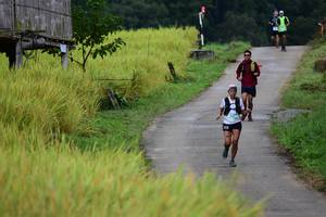 BIB: 
                            <button type="button" onclick="openModal(13474015)" class="btn btn-primary btn-sm float-right btn-popup" data-toggle="modal" data-target=".modal-high-quality">
                        <i class="fas fa-shopping-cart"></i> Add to Cart
                    </button>
                                            <button type="button" onclick="isThisMe(13474015, true)" class="btn btn-success btn-sm float-right btn-popup btn-isme hidden" data-toggle="tooltip" data-placement="bottom" title="นี่คือรูปของคุณใช่ไหม คลิกที่นี่เพื่อเอาเข้าอัลบั้ม">
                        <i class="fas fa-plus"></i> Add to album
                    </button>
                    <button type="button" onclick="isThisMe(13474015, false)" class="btn btn-warning btn-sm float-right btn-popup btn-isnotme hidden">
                        <i class="fas fa-ban"></i> Remove from album
                    </button>