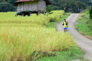 BIB: 
                            <button type="button" onclick="openModal(13474215)" class="btn btn-primary btn-sm float-right btn-popup" data-toggle="modal" data-target=".modal-high-quality">
                        <i class="fas fa-shopping-cart"></i> Add to Cart
                    </button>
                                            <button type="button" onclick="isThisMe(13474215, true)" class="btn btn-success btn-sm float-right btn-popup btn-isme hidden" data-toggle="tooltip" data-placement="bottom" title="นี่คือรูปของคุณใช่ไหม คลิกที่นี่เพื่อเอาเข้าอัลบั้ม">
                        <i class="fas fa-plus"></i> Add to album
                    </button>
                    <button type="button" onclick="isThisMe(13474215, false)" class="btn btn-warning btn-sm float-right btn-popup btn-isnotme hidden">
                        <i class="fas fa-ban"></i> Remove from album
                    </button>