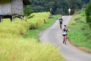 BIB: 
                            <button type="button" onclick="openModal(13473840)" class="btn btn-primary btn-sm float-right btn-popup" data-toggle="modal" data-target=".modal-high-quality">
                        <i class="fas fa-shopping-cart"></i> Add to Cart
                    </button>
                                            <button type="button" onclick="isThisMe(13473840, true)" class="btn btn-success btn-sm float-right btn-popup btn-isme hidden" data-toggle="tooltip" data-placement="bottom" title="นี่คือรูปของคุณใช่ไหม คลิกที่นี่เพื่อเอาเข้าอัลบั้ม">
                        <i class="fas fa-plus"></i> Add to album
                    </button>
                    <button type="button" onclick="isThisMe(13473840, false)" class="btn btn-warning btn-sm float-right btn-popup btn-isnotme hidden">
                        <i class="fas fa-ban"></i> Remove from album
                    </button>