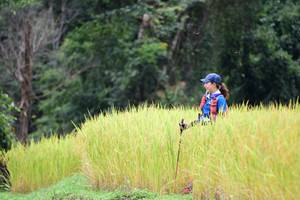 BIB: 
                            <button type="button" onclick="openModal(13474302)" class="btn btn-primary btn-sm float-right btn-popup" data-toggle="modal" data-target=".modal-high-quality">
                        <i class="fas fa-shopping-cart"></i> Add to Cart
                    </button>
                                            <button type="button" onclick="isThisMe(13474302, true)" class="btn btn-success btn-sm float-right btn-popup btn-isme hidden" data-toggle="tooltip" data-placement="bottom" title="นี่คือรูปของคุณใช่ไหม คลิกที่นี่เพื่อเอาเข้าอัลบั้ม">
                        <i class="fas fa-plus"></i> Add to album
                    </button>
                    <button type="button" onclick="isThisMe(13474302, false)" class="btn btn-warning btn-sm float-right btn-popup btn-isnotme hidden">
                        <i class="fas fa-ban"></i> Remove from album
                    </button>