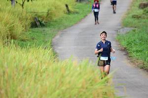 BIB: 
                            <button type="button" onclick="openModal(13474175)" class="btn btn-primary btn-sm float-right btn-popup" data-toggle="modal" data-target=".modal-high-quality">
                        <i class="fas fa-shopping-cart"></i> Add to Cart
                    </button>
                                            <button type="button" onclick="isThisMe(13474175, true)" class="btn btn-success btn-sm float-right btn-popup btn-isme hidden" data-toggle="tooltip" data-placement="bottom" title="นี่คือรูปของคุณใช่ไหม คลิกที่นี่เพื่อเอาเข้าอัลบั้ม">
                        <i class="fas fa-plus"></i> Add to album
                    </button>
                    <button type="button" onclick="isThisMe(13474175, false)" class="btn btn-warning btn-sm float-right btn-popup btn-isnotme hidden">
                        <i class="fas fa-ban"></i> Remove from album
                    </button>