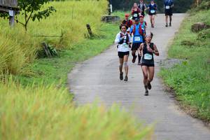 BIB: 
                            <button type="button" onclick="openModal(13474282)" class="btn btn-primary btn-sm float-right btn-popup" data-toggle="modal" data-target=".modal-high-quality">
                        <i class="fas fa-shopping-cart"></i> Add to Cart
                    </button>
                                            <button type="button" onclick="isThisMe(13474282, true)" class="btn btn-success btn-sm float-right btn-popup btn-isme hidden" data-toggle="tooltip" data-placement="bottom" title="นี่คือรูปของคุณใช่ไหม คลิกที่นี่เพื่อเอาเข้าอัลบั้ม">
                        <i class="fas fa-plus"></i> Add to album
                    </button>
                    <button type="button" onclick="isThisMe(13474282, false)" class="btn btn-warning btn-sm float-right btn-popup btn-isnotme hidden">
                        <i class="fas fa-ban"></i> Remove from album
                    </button>