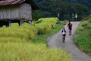 BIB: 
                            <button type="button" onclick="openModal(13474013)" class="btn btn-primary btn-sm float-right btn-popup" data-toggle="modal" data-target=".modal-high-quality">
                        <i class="fas fa-shopping-cart"></i> Add to Cart
                    </button>
                                            <button type="button" onclick="isThisMe(13474013, true)" class="btn btn-success btn-sm float-right btn-popup btn-isme hidden" data-toggle="tooltip" data-placement="bottom" title="นี่คือรูปของคุณใช่ไหม คลิกที่นี่เพื่อเอาเข้าอัลบั้ม">
                        <i class="fas fa-plus"></i> Add to album
                    </button>
                    <button type="button" onclick="isThisMe(13474013, false)" class="btn btn-warning btn-sm float-right btn-popup btn-isnotme hidden">
                        <i class="fas fa-ban"></i> Remove from album
                    </button>