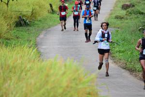 BIB: 
                            <button type="button" onclick="openModal(13474289)" class="btn btn-primary btn-sm float-right btn-popup" data-toggle="modal" data-target=".modal-high-quality">
                        <i class="fas fa-shopping-cart"></i> Add to Cart
                    </button>
                                            <button type="button" onclick="isThisMe(13474289, true)" class="btn btn-success btn-sm float-right btn-popup btn-isme hidden" data-toggle="tooltip" data-placement="bottom" title="นี่คือรูปของคุณใช่ไหม คลิกที่นี่เพื่อเอาเข้าอัลบั้ม">
                        <i class="fas fa-plus"></i> Add to album
                    </button>
                    <button type="button" onclick="isThisMe(13474289, false)" class="btn btn-warning btn-sm float-right btn-popup btn-isnotme hidden">
                        <i class="fas fa-ban"></i> Remove from album
                    </button>