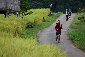 BIB: 
                            <button type="button" onclick="openModal(13474030)" class="btn btn-primary btn-sm float-right btn-popup" data-toggle="modal" data-target=".modal-high-quality">
                        <i class="fas fa-shopping-cart"></i> Add to Cart
                    </button>
                                            <button type="button" onclick="isThisMe(13474030, true)" class="btn btn-success btn-sm float-right btn-popup btn-isme hidden" data-toggle="tooltip" data-placement="bottom" title="นี่คือรูปของคุณใช่ไหม คลิกที่นี่เพื่อเอาเข้าอัลบั้ม">
                        <i class="fas fa-plus"></i> Add to album
                    </button>
                    <button type="button" onclick="isThisMe(13474030, false)" class="btn btn-warning btn-sm float-right btn-popup btn-isnotme hidden">
                        <i class="fas fa-ban"></i> Remove from album
                    </button>