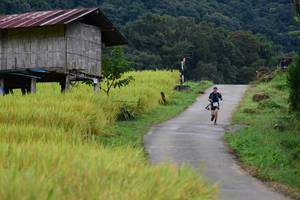 BIB: 
                            <button type="button" onclick="openModal(13473938)" class="btn btn-primary btn-sm float-right btn-popup" data-toggle="modal" data-target=".modal-high-quality">
                        <i class="fas fa-shopping-cart"></i> Add to Cart
                    </button>
                                            <button type="button" onclick="isThisMe(13473938, true)" class="btn btn-success btn-sm float-right btn-popup btn-isme hidden" data-toggle="tooltip" data-placement="bottom" title="นี่คือรูปของคุณใช่ไหม คลิกที่นี่เพื่อเอาเข้าอัลบั้ม">
                        <i class="fas fa-plus"></i> Add to album
                    </button>
                    <button type="button" onclick="isThisMe(13473938, false)" class="btn btn-warning btn-sm float-right btn-popup btn-isnotme hidden">
                        <i class="fas fa-ban"></i> Remove from album
                    </button>