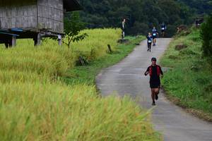 BIB: 
                            <button type="button" onclick="openModal(13473998)" class="btn btn-primary btn-sm float-right btn-popup" data-toggle="modal" data-target=".modal-high-quality">
                        <i class="fas fa-shopping-cart"></i> Add to Cart
                    </button>
                                            <button type="button" onclick="isThisMe(13473998, true)" class="btn btn-success btn-sm float-right btn-popup btn-isme hidden" data-toggle="tooltip" data-placement="bottom" title="นี่คือรูปของคุณใช่ไหม คลิกที่นี่เพื่อเอาเข้าอัลบั้ม">
                        <i class="fas fa-plus"></i> Add to album
                    </button>
                    <button type="button" onclick="isThisMe(13473998, false)" class="btn btn-warning btn-sm float-right btn-popup btn-isnotme hidden">
                        <i class="fas fa-ban"></i> Remove from album
                    </button>