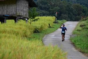 BIB: 
                            <button type="button" onclick="openModal(13473903)" class="btn btn-primary btn-sm float-right btn-popup" data-toggle="modal" data-target=".modal-high-quality">
                        <i class="fas fa-shopping-cart"></i> Add to Cart
                    </button>
                                            <button type="button" onclick="isThisMe(13473903, true)" class="btn btn-success btn-sm float-right btn-popup btn-isme hidden" data-toggle="tooltip" data-placement="bottom" title="นี่คือรูปของคุณใช่ไหม คลิกที่นี่เพื่อเอาเข้าอัลบั้ม">
                        <i class="fas fa-plus"></i> Add to album
                    </button>
                    <button type="button" onclick="isThisMe(13473903, false)" class="btn btn-warning btn-sm float-right btn-popup btn-isnotme hidden">
                        <i class="fas fa-ban"></i> Remove from album
                    </button>