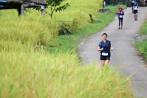 BIB: 
                            <button type="button" onclick="openModal(13474170)" class="btn btn-primary btn-sm float-right btn-popup" data-toggle="modal" data-target=".modal-high-quality">
                        <i class="fas fa-shopping-cart"></i> Add to Cart
                    </button>
                                            <button type="button" onclick="isThisMe(13474170, true)" class="btn btn-success btn-sm float-right btn-popup btn-isme hidden" data-toggle="tooltip" data-placement="bottom" title="นี่คือรูปของคุณใช่ไหม คลิกที่นี่เพื่อเอาเข้าอัลบั้ม">
                        <i class="fas fa-plus"></i> Add to album
                    </button>
                    <button type="button" onclick="isThisMe(13474170, false)" class="btn btn-warning btn-sm float-right btn-popup btn-isnotme hidden">
                        <i class="fas fa-ban"></i> Remove from album
                    </button>