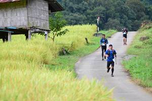 BIB: 
                            <button type="button" onclick="openModal(13473822)" class="btn btn-primary btn-sm float-right btn-popup" data-toggle="modal" data-target=".modal-high-quality">
                        <i class="fas fa-shopping-cart"></i> Add to Cart
                    </button>
                                            <button type="button" onclick="isThisMe(13473822, true)" class="btn btn-success btn-sm float-right btn-popup btn-isme hidden" data-toggle="tooltip" data-placement="bottom" title="นี่คือรูปของคุณใช่ไหม คลิกที่นี่เพื่อเอาเข้าอัลบั้ม">
                        <i class="fas fa-plus"></i> Add to album
                    </button>
                    <button type="button" onclick="isThisMe(13473822, false)" class="btn btn-warning btn-sm float-right btn-popup btn-isnotme hidden">
                        <i class="fas fa-ban"></i> Remove from album
                    </button>