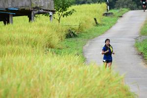 BIB: 
                            <button type="button" onclick="openModal(13473863)" class="btn btn-primary btn-sm float-right btn-popup" data-toggle="modal" data-target=".modal-high-quality">
                        <i class="fas fa-shopping-cart"></i> Add to Cart
                    </button>
                                            <button type="button" onclick="isThisMe(13473863, true)" class="btn btn-success btn-sm float-right btn-popup btn-isme hidden" data-toggle="tooltip" data-placement="bottom" title="นี่คือรูปของคุณใช่ไหม คลิกที่นี่เพื่อเอาเข้าอัลบั้ม">
                        <i class="fas fa-plus"></i> Add to album
                    </button>
                    <button type="button" onclick="isThisMe(13473863, false)" class="btn btn-warning btn-sm float-right btn-popup btn-isnotme hidden">
                        <i class="fas fa-ban"></i> Remove from album
                    </button>