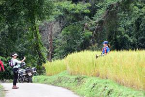 BIB: 
                            <button type="button" onclick="openModal(13474304)" class="btn btn-primary btn-sm float-right btn-popup" data-toggle="modal" data-target=".modal-high-quality">
                        <i class="fas fa-shopping-cart"></i> Add to Cart
                    </button>
                                            <button type="button" onclick="isThisMe(13474304, true)" class="btn btn-success btn-sm float-right btn-popup btn-isme hidden" data-toggle="tooltip" data-placement="bottom" title="นี่คือรูปของคุณใช่ไหม คลิกที่นี่เพื่อเอาเข้าอัลบั้ม">
                        <i class="fas fa-plus"></i> Add to album
                    </button>
                    <button type="button" onclick="isThisMe(13474304, false)" class="btn btn-warning btn-sm float-right btn-popup btn-isnotme hidden">
                        <i class="fas fa-ban"></i> Remove from album
                    </button>