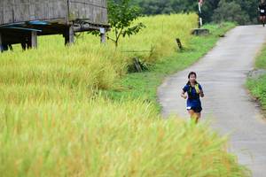 BIB: 
                            <button type="button" onclick="openModal(13473861)" class="btn btn-primary btn-sm float-right btn-popup" data-toggle="modal" data-target=".modal-high-quality">
                        <i class="fas fa-shopping-cart"></i> Add to Cart
                    </button>
                                            <button type="button" onclick="isThisMe(13473861, true)" class="btn btn-success btn-sm float-right btn-popup btn-isme hidden" data-toggle="tooltip" data-placement="bottom" title="นี่คือรูปของคุณใช่ไหม คลิกที่นี่เพื่อเอาเข้าอัลบั้ม">
                        <i class="fas fa-plus"></i> Add to album
                    </button>
                    <button type="button" onclick="isThisMe(13473861, false)" class="btn btn-warning btn-sm float-right btn-popup btn-isnotme hidden">
                        <i class="fas fa-ban"></i> Remove from album
                    </button>