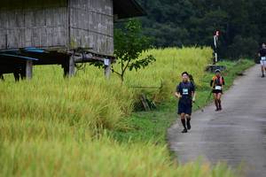 BIB: 
                            <button type="button" onclick="openModal(13474060)" class="btn btn-primary btn-sm float-right btn-popup" data-toggle="modal" data-target=".modal-high-quality">
                        <i class="fas fa-shopping-cart"></i> Add to Cart
                    </button>
                                            <button type="button" onclick="isThisMe(13474060, true)" class="btn btn-success btn-sm float-right btn-popup btn-isme hidden" data-toggle="tooltip" data-placement="bottom" title="นี่คือรูปของคุณใช่ไหม คลิกที่นี่เพื่อเอาเข้าอัลบั้ม">
                        <i class="fas fa-plus"></i> Add to album
                    </button>
                    <button type="button" onclick="isThisMe(13474060, false)" class="btn btn-warning btn-sm float-right btn-popup btn-isnotme hidden">
                        <i class="fas fa-ban"></i> Remove from album
                    </button>