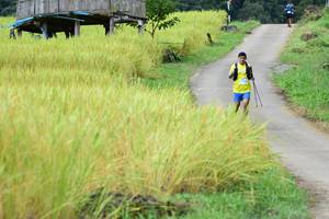 BIB: 
                            <button type="button" onclick="openModal(13474214)" class="btn btn-primary btn-sm float-right btn-popup" data-toggle="modal" data-target=".modal-high-quality">
                        <i class="fas fa-shopping-cart"></i> Add to Cart
                    </button>
                                            <button type="button" onclick="isThisMe(13474214, true)" class="btn btn-success btn-sm float-right btn-popup btn-isme hidden" data-toggle="tooltip" data-placement="bottom" title="นี่คือรูปของคุณใช่ไหม คลิกที่นี่เพื่อเอาเข้าอัลบั้ม">
                        <i class="fas fa-plus"></i> Add to album
                    </button>
                    <button type="button" onclick="isThisMe(13474214, false)" class="btn btn-warning btn-sm float-right btn-popup btn-isnotme hidden">
                        <i class="fas fa-ban"></i> Remove from album
                    </button>