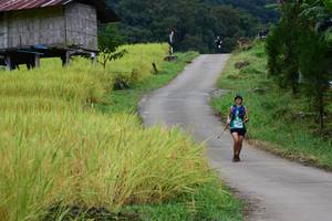 BIB: 
                            <button type="button" onclick="openModal(13474077)" class="btn btn-primary btn-sm float-right btn-popup" data-toggle="modal" data-target=".modal-high-quality">
                        <i class="fas fa-shopping-cart"></i> Add to Cart
                    </button>
                                            <button type="button" onclick="isThisMe(13474077, true)" class="btn btn-success btn-sm float-right btn-popup btn-isme hidden" data-toggle="tooltip" data-placement="bottom" title="นี่คือรูปของคุณใช่ไหม คลิกที่นี่เพื่อเอาเข้าอัลบั้ม">
                        <i class="fas fa-plus"></i> Add to album
                    </button>
                    <button type="button" onclick="isThisMe(13474077, false)" class="btn btn-warning btn-sm float-right btn-popup btn-isnotme hidden">
                        <i class="fas fa-ban"></i> Remove from album
                    </button>