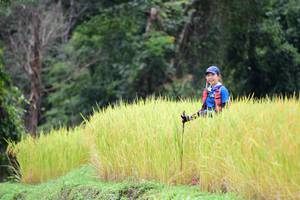 BIB: 
                            <button type="button" onclick="openModal(13474303)" class="btn btn-primary btn-sm float-right btn-popup" data-toggle="modal" data-target=".modal-high-quality">
                        <i class="fas fa-shopping-cart"></i> Add to Cart
                    </button>
                                            <button type="button" onclick="isThisMe(13474303, true)" class="btn btn-success btn-sm float-right btn-popup btn-isme hidden" data-toggle="tooltip" data-placement="bottom" title="นี่คือรูปของคุณใช่ไหม คลิกที่นี่เพื่อเอาเข้าอัลบั้ม">
                        <i class="fas fa-plus"></i> Add to album
                    </button>
                    <button type="button" onclick="isThisMe(13474303, false)" class="btn btn-warning btn-sm float-right btn-popup btn-isnotme hidden">
                        <i class="fas fa-ban"></i> Remove from album
                    </button>