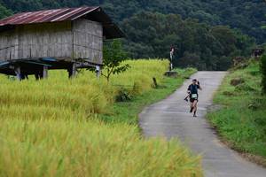 BIB: 
                            <button type="button" onclick="openModal(13473939)" class="btn btn-primary btn-sm float-right btn-popup" data-toggle="modal" data-target=".modal-high-quality">
                        <i class="fas fa-shopping-cart"></i> Add to Cart
                    </button>
                                            <button type="button" onclick="isThisMe(13473939, true)" class="btn btn-success btn-sm float-right btn-popup btn-isme hidden" data-toggle="tooltip" data-placement="bottom" title="นี่คือรูปของคุณใช่ไหม คลิกที่นี่เพื่อเอาเข้าอัลบั้ม">
                        <i class="fas fa-plus"></i> Add to album
                    </button>
                    <button type="button" onclick="isThisMe(13473939, false)" class="btn btn-warning btn-sm float-right btn-popup btn-isnotme hidden">
                        <i class="fas fa-ban"></i> Remove from album
                    </button>