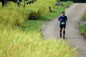 BIB: 
                            <button type="button" onclick="openModal(13474251)" class="btn btn-primary btn-sm float-right btn-popup" data-toggle="modal" data-target=".modal-high-quality">
                        <i class="fas fa-shopping-cart"></i> Add to Cart
                    </button>
                                            <button type="button" onclick="isThisMe(13474251, true)" class="btn btn-success btn-sm float-right btn-popup btn-isme hidden" data-toggle="tooltip" data-placement="bottom" title="นี่คือรูปของคุณใช่ไหม คลิกที่นี่เพื่อเอาเข้าอัลบั้ม">
                        <i class="fas fa-plus"></i> Add to album
                    </button>
                    <button type="button" onclick="isThisMe(13474251, false)" class="btn btn-warning btn-sm float-right btn-popup btn-isnotme hidden">
                        <i class="fas fa-ban"></i> Remove from album
                    </button>