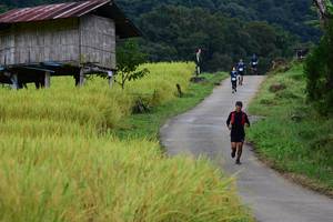 BIB: 
                            <button type="button" onclick="openModal(13473992)" class="btn btn-primary btn-sm float-right btn-popup" data-toggle="modal" data-target=".modal-high-quality">
                        <i class="fas fa-shopping-cart"></i> Add to Cart
                    </button>
                                            <button type="button" onclick="isThisMe(13473992, true)" class="btn btn-success btn-sm float-right btn-popup btn-isme hidden" data-toggle="tooltip" data-placement="bottom" title="นี่คือรูปของคุณใช่ไหม คลิกที่นี่เพื่อเอาเข้าอัลบั้ม">
                        <i class="fas fa-plus"></i> Add to album
                    </button>
                    <button type="button" onclick="isThisMe(13473992, false)" class="btn btn-warning btn-sm float-right btn-popup btn-isnotme hidden">
                        <i class="fas fa-ban"></i> Remove from album
                    </button>