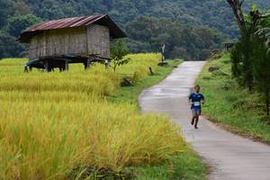 BIB: 
                            <button type="button" onclick="openModal(13473816)" class="btn btn-primary btn-sm float-right btn-popup" data-toggle="modal" data-target=".modal-high-quality">
                        <i class="fas fa-shopping-cart"></i> Add to Cart
                    </button>
                                            <button type="button" onclick="isThisMe(13473816, true)" class="btn btn-success btn-sm float-right btn-popup btn-isme hidden" data-toggle="tooltip" data-placement="bottom" title="นี่คือรูปของคุณใช่ไหม คลิกที่นี่เพื่อเอาเข้าอัลบั้ม">
                        <i class="fas fa-plus"></i> Add to album
                    </button>
                    <button type="button" onclick="isThisMe(13473816, false)" class="btn btn-warning btn-sm float-right btn-popup btn-isnotme hidden">
                        <i class="fas fa-ban"></i> Remove from album
                    </button>