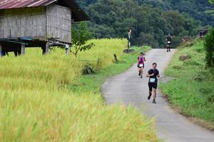 BIB: 
                            <button type="button" onclick="openModal(13474118)" class="btn btn-primary btn-sm float-right btn-popup" data-toggle="modal" data-target=".modal-high-quality">
                        <i class="fas fa-shopping-cart"></i> Add to Cart
                    </button>
                                            <button type="button" onclick="isThisMe(13474118, true)" class="btn btn-success btn-sm float-right btn-popup btn-isme hidden" data-toggle="tooltip" data-placement="bottom" title="นี่คือรูปของคุณใช่ไหม คลิกที่นี่เพื่อเอาเข้าอัลบั้ม">
                        <i class="fas fa-plus"></i> Add to album
                    </button>
                    <button type="button" onclick="isThisMe(13474118, false)" class="btn btn-warning btn-sm float-right btn-popup btn-isnotme hidden">
                        <i class="fas fa-ban"></i> Remove from album
                    </button>