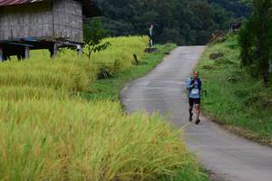 BIB: 
                            <button type="button" onclick="openModal(13473970)" class="btn btn-primary btn-sm float-right btn-popup" data-toggle="modal" data-target=".modal-high-quality">
                        <i class="fas fa-shopping-cart"></i> Add to Cart
                    </button>
                                            <button type="button" onclick="isThisMe(13473970, true)" class="btn btn-success btn-sm float-right btn-popup btn-isme hidden" data-toggle="tooltip" data-placement="bottom" title="นี่คือรูปของคุณใช่ไหม คลิกที่นี่เพื่อเอาเข้าอัลบั้ม">
                        <i class="fas fa-plus"></i> Add to album
                    </button>
                    <button type="button" onclick="isThisMe(13473970, false)" class="btn btn-warning btn-sm float-right btn-popup btn-isnotme hidden">
                        <i class="fas fa-ban"></i> Remove from album
                    </button>