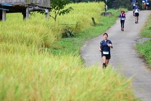 BIB: 
                            <button type="button" onclick="openModal(13474171)" class="btn btn-primary btn-sm float-right btn-popup" data-toggle="modal" data-target=".modal-high-quality">
                        <i class="fas fa-shopping-cart"></i> Add to Cart
                    </button>
                                            <button type="button" onclick="isThisMe(13474171, true)" class="btn btn-success btn-sm float-right btn-popup btn-isme hidden" data-toggle="tooltip" data-placement="bottom" title="นี่คือรูปของคุณใช่ไหม คลิกที่นี่เพื่อเอาเข้าอัลบั้ม">
                        <i class="fas fa-plus"></i> Add to album
                    </button>
                    <button type="button" onclick="isThisMe(13474171, false)" class="btn btn-warning btn-sm float-right btn-popup btn-isnotme hidden">
                        <i class="fas fa-ban"></i> Remove from album
                    </button>