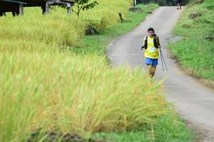 BIB: 
                            <button type="button" onclick="openModal(13474218)" class="btn btn-primary btn-sm float-right btn-popup" data-toggle="modal" data-target=".modal-high-quality">
                        <i class="fas fa-shopping-cart"></i> Add to Cart
                    </button>
                                            <button type="button" onclick="isThisMe(13474218, true)" class="btn btn-success btn-sm float-right btn-popup btn-isme hidden" data-toggle="tooltip" data-placement="bottom" title="นี่คือรูปของคุณใช่ไหม คลิกที่นี่เพื่อเอาเข้าอัลบั้ม">
                        <i class="fas fa-plus"></i> Add to album
                    </button>
                    <button type="button" onclick="isThisMe(13474218, false)" class="btn btn-warning btn-sm float-right btn-popup btn-isnotme hidden">
                        <i class="fas fa-ban"></i> Remove from album
                    </button>