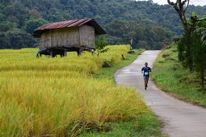 BIB: 
                            <button type="button" onclick="openModal(13473815)" class="btn btn-primary btn-sm float-right btn-popup" data-toggle="modal" data-target=".modal-high-quality">
                        <i class="fas fa-shopping-cart"></i> Add to Cart
                    </button>
                                            <button type="button" onclick="isThisMe(13473815, true)" class="btn btn-success btn-sm float-right btn-popup btn-isme hidden" data-toggle="tooltip" data-placement="bottom" title="นี่คือรูปของคุณใช่ไหม คลิกที่นี่เพื่อเอาเข้าอัลบั้ม">
                        <i class="fas fa-plus"></i> Add to album
                    </button>
                    <button type="button" onclick="isThisMe(13473815, false)" class="btn btn-warning btn-sm float-right btn-popup btn-isnotme hidden">
                        <i class="fas fa-ban"></i> Remove from album
                    </button>