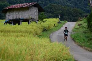 BIB: 
                            <button type="button" onclick="openModal(13473983)" class="btn btn-primary btn-sm float-right btn-popup" data-toggle="modal" data-target=".modal-high-quality">
                        <i class="fas fa-shopping-cart"></i> Add to Cart
                    </button>
                                            <button type="button" onclick="isThisMe(13473983, true)" class="btn btn-success btn-sm float-right btn-popup btn-isme hidden" data-toggle="tooltip" data-placement="bottom" title="นี่คือรูปของคุณใช่ไหม คลิกที่นี่เพื่อเอาเข้าอัลบั้ม">
                        <i class="fas fa-plus"></i> Add to album
                    </button>
                    <button type="button" onclick="isThisMe(13473983, false)" class="btn btn-warning btn-sm float-right btn-popup btn-isnotme hidden">
                        <i class="fas fa-ban"></i> Remove from album
                    </button>