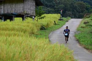 BIB: 
                            <button type="button" onclick="openModal(13473932)" class="btn btn-primary btn-sm float-right btn-popup" data-toggle="modal" data-target=".modal-high-quality">
                        <i class="fas fa-shopping-cart"></i> Add to Cart
                    </button>
                                            <button type="button" onclick="isThisMe(13473932, true)" class="btn btn-success btn-sm float-right btn-popup btn-isme hidden" data-toggle="tooltip" data-placement="bottom" title="นี่คือรูปของคุณใช่ไหม คลิกที่นี่เพื่อเอาเข้าอัลบั้ม">
                        <i class="fas fa-plus"></i> Add to album
                    </button>
                    <button type="button" onclick="isThisMe(13473932, false)" class="btn btn-warning btn-sm float-right btn-popup btn-isnotme hidden">
                        <i class="fas fa-ban"></i> Remove from album
                    </button>