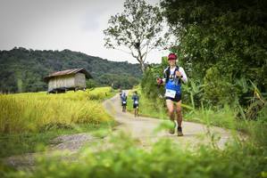 BIB: 
                            <button type="button" onclick="openModal(13394330)" class="btn btn-primary btn-sm float-right btn-popup" data-toggle="modal" data-target=".modal-high-quality">
                        <i class="fas fa-shopping-cart"></i> Add to Cart
                    </button>
                                            <button type="button" onclick="isThisMe(13394330, true)" class="btn btn-success btn-sm float-right btn-popup btn-isme hidden" data-toggle="tooltip" data-placement="bottom" title="นี่คือรูปของคุณใช่ไหม คลิกที่นี่เพื่อเอาเข้าอัลบั้ม">
                        <i class="fas fa-plus"></i> Add to album
                    </button>
                    <button type="button" onclick="isThisMe(13394330, false)" class="btn btn-warning btn-sm float-right btn-popup btn-isnotme hidden">
                        <i class="fas fa-ban"></i> Remove from album
                    </button>