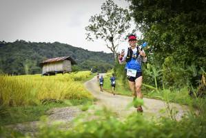 BIB: 
                            <button type="button" onclick="openModal(13394325)" class="btn btn-primary btn-sm float-right btn-popup" data-toggle="modal" data-target=".modal-high-quality">
                        <i class="fas fa-shopping-cart"></i> Add to Cart
                    </button>
                                            <button type="button" onclick="isThisMe(13394325, true)" class="btn btn-success btn-sm float-right btn-popup btn-isme hidden" data-toggle="tooltip" data-placement="bottom" title="นี่คือรูปของคุณใช่ไหม คลิกที่นี่เพื่อเอาเข้าอัลบั้ม">
                        <i class="fas fa-plus"></i> Add to album
                    </button>
                    <button type="button" onclick="isThisMe(13394325, false)" class="btn btn-warning btn-sm float-right btn-popup btn-isnotme hidden">
                        <i class="fas fa-ban"></i> Remove from album
                    </button>