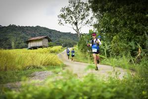 BIB: 
                            <button type="button" onclick="openModal(13394329)" class="btn btn-primary btn-sm float-right btn-popup" data-toggle="modal" data-target=".modal-high-quality">
                        <i class="fas fa-shopping-cart"></i> Add to Cart
                    </button>
                                            <button type="button" onclick="isThisMe(13394329, true)" class="btn btn-success btn-sm float-right btn-popup btn-isme hidden" data-toggle="tooltip" data-placement="bottom" title="นี่คือรูปของคุณใช่ไหม คลิกที่นี่เพื่อเอาเข้าอัลบั้ม">
                        <i class="fas fa-plus"></i> Add to album
                    </button>
                    <button type="button" onclick="isThisMe(13394329, false)" class="btn btn-warning btn-sm float-right btn-popup btn-isnotme hidden">
                        <i class="fas fa-ban"></i> Remove from album
                    </button>