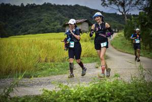 BIB: 
                            <button type="button" onclick="openModal(13415083)" class="btn btn-primary btn-sm float-right btn-popup" data-toggle="modal" data-target=".modal-high-quality">
                        <i class="fas fa-shopping-cart"></i> Add to Cart
                    </button>
                                            <button type="button" onclick="isThisMe(13415083, true)" class="btn btn-success btn-sm float-right btn-popup btn-isme hidden" data-toggle="tooltip" data-placement="bottom" title="นี่คือรูปของคุณใช่ไหม คลิกที่นี่เพื่อเอาเข้าอัลบั้ม">
                        <i class="fas fa-plus"></i> Add to album
                    </button>
                    <button type="button" onclick="isThisMe(13415083, false)" class="btn btn-warning btn-sm float-right btn-popup btn-isnotme hidden">
                        <i class="fas fa-ban"></i> Remove from album
                    </button>